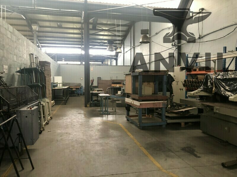 22 Mail Street - Techno Park  - 22 Mail Street  property image 11