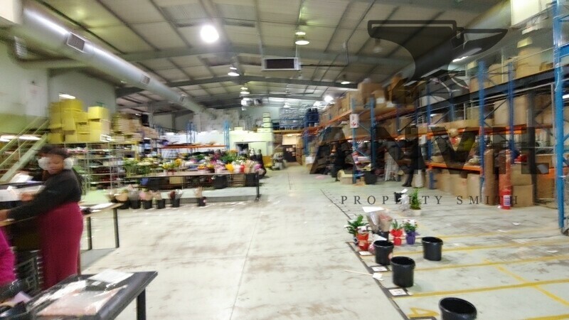 Cambridge Park East, Paulshof - units 2, 3 and 4 property image 5