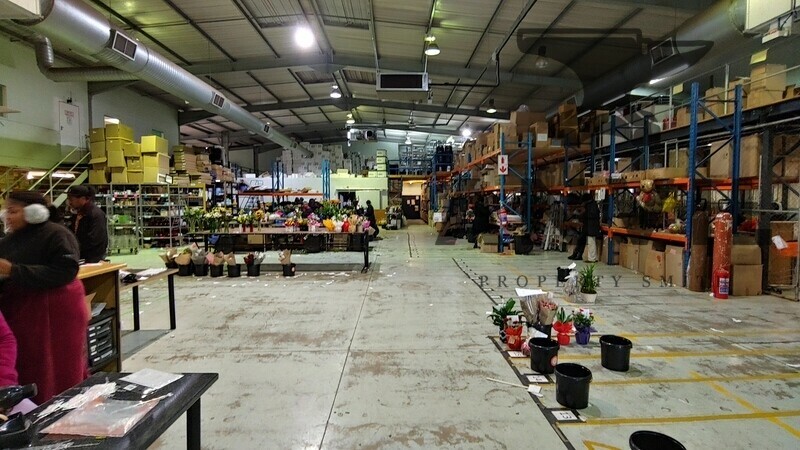 Cambridge Park East, Paulshof - units 2, 3 and 4 property image 6