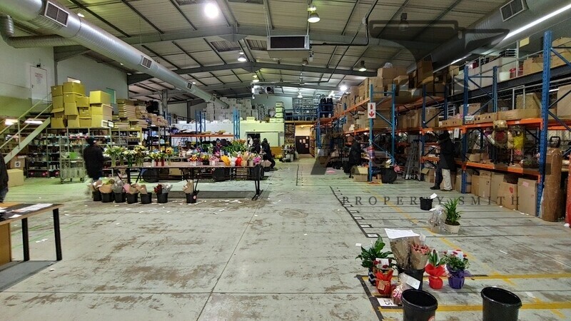 Cambridge Park East, Paulshof - units 2, 3 and 4 property image 7