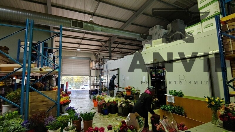 Cambridge Park East, Paulshof - units 2, 3 and 4 property image 11