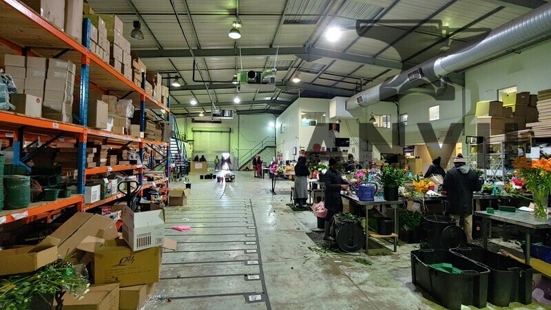 Cambridge Park East, Paulshof - units 2, 3 and 4 property image 12