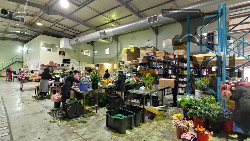 Cambridge Park East, Paulshof - units 2, 3 and 4 property image 14