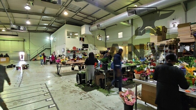 Cambridge Park East, Paulshof - units 2, 3 and 4 property image 15