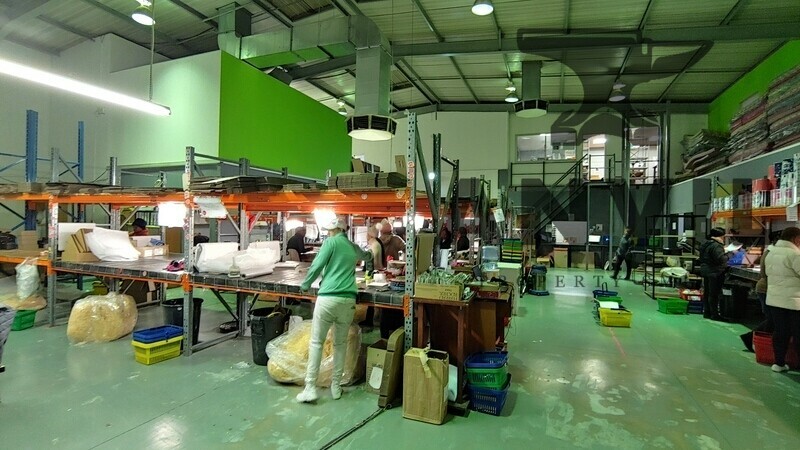 Cambridge Park East, Paulshof - units 2, 3 and 4 property image 17