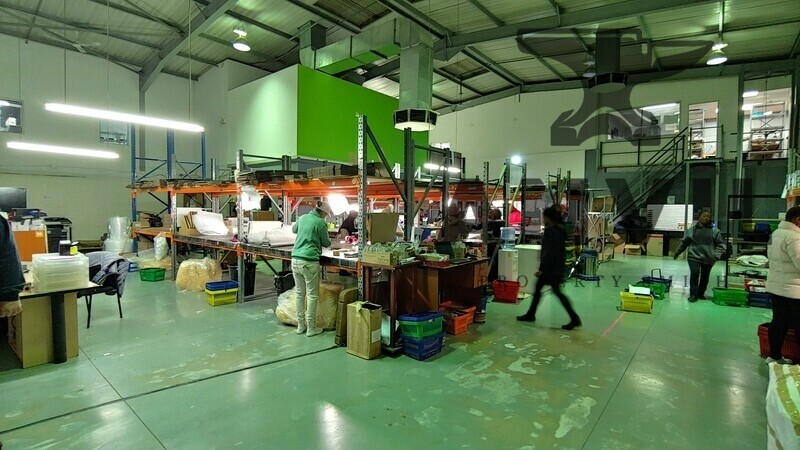 Cambridge Park East, Paulshof - units 2, 3 and 4 property image 19