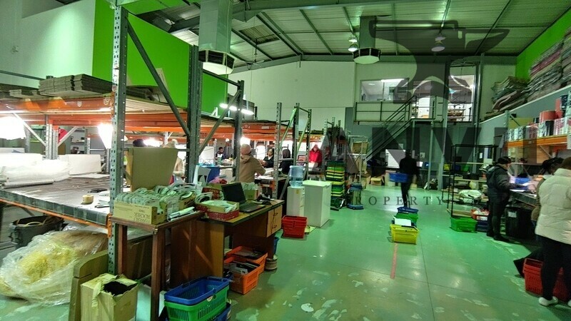 Cambridge Park East, Paulshof - units 2, 3 and 4 property image 21