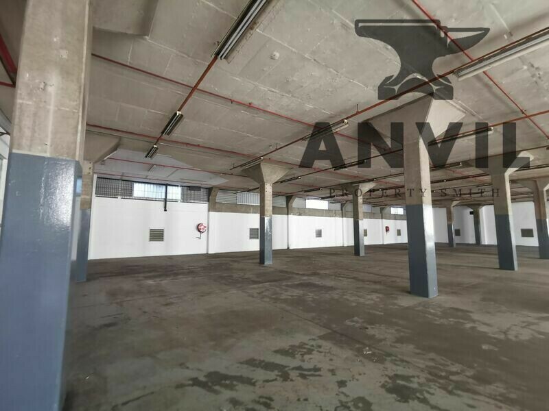 Otto  Volek - Ground Warehouse Unit D1 property image 4