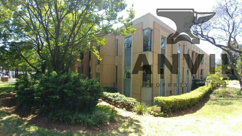 51 West Street, Houghton, Sandton - Ground Floor - Office Space to Let property image 37