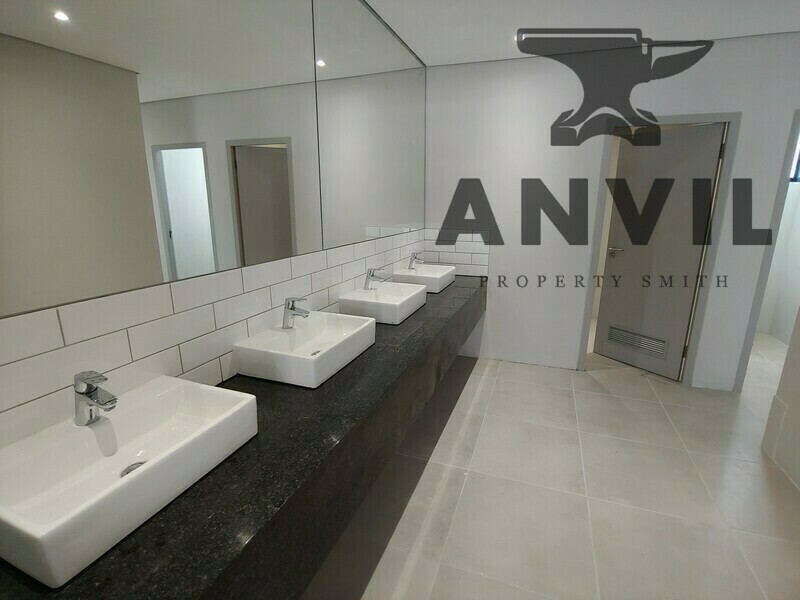 127 Cecil Road - Ground property image 3