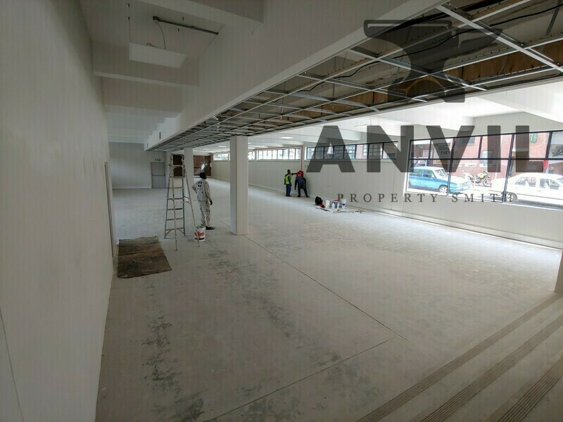 127 Cecil Road - Ground property image 4