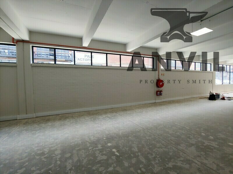 127 Cecil Road - Ground property image 13