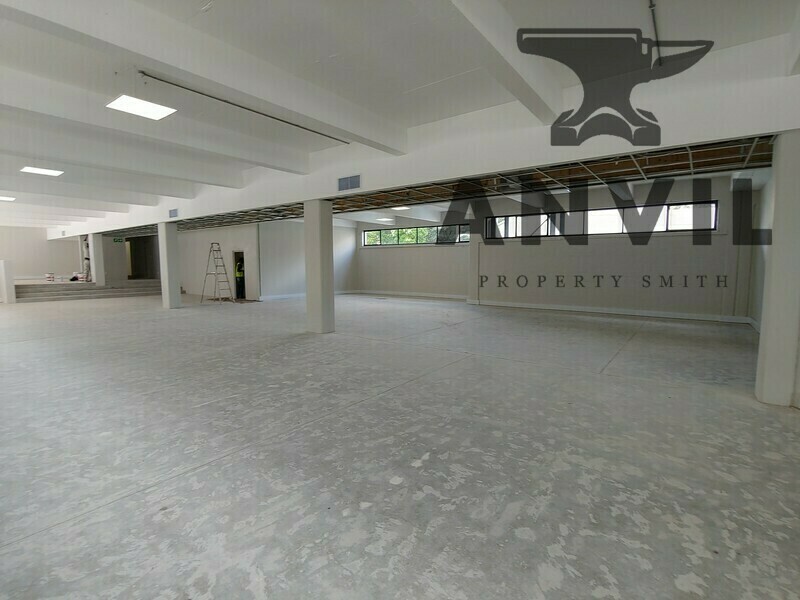 127 Cecil Road - Ground property image 14