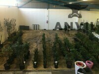 8 Manchester Road - Free Standing warehouse  - Free standing unit  property image 3