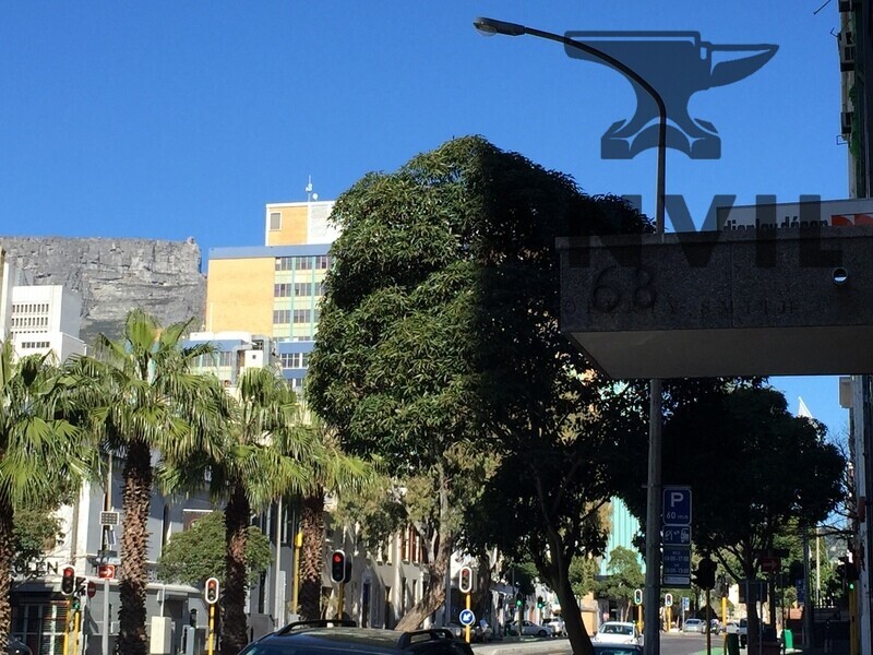 71 Bree Street, CBD, Cape Town - 1st Floor property image 41