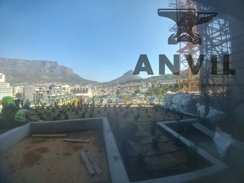 117 Strand Street - Office Storey 09 Main Building property image 14