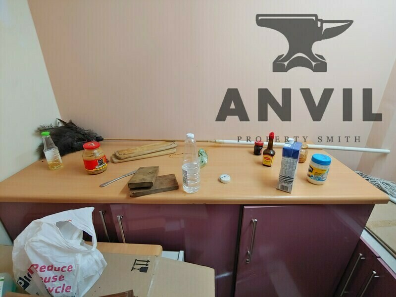 Trevallyn Industrial Park - Unit 62 property image 8