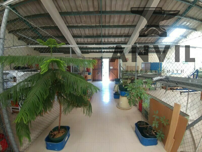 38 Doyle St - Ground Unit 1 property image 13