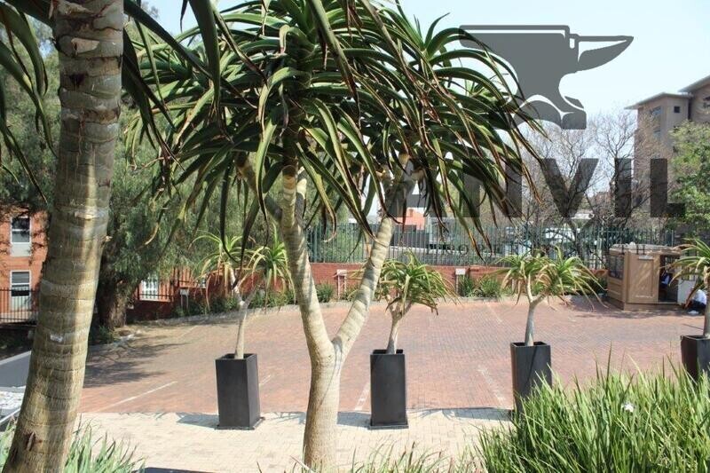 26 Wellington Road, Parktown - Portion of Entire Building to Let property image 71