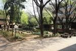 9 St Davids Place, Parktown - Third Floor property image 10