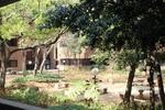 9 St Davids Place, Parktown - Third Floor property image 18