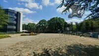 359 Rivonia Road, Sandton - Entire Freestanding Building property image 5