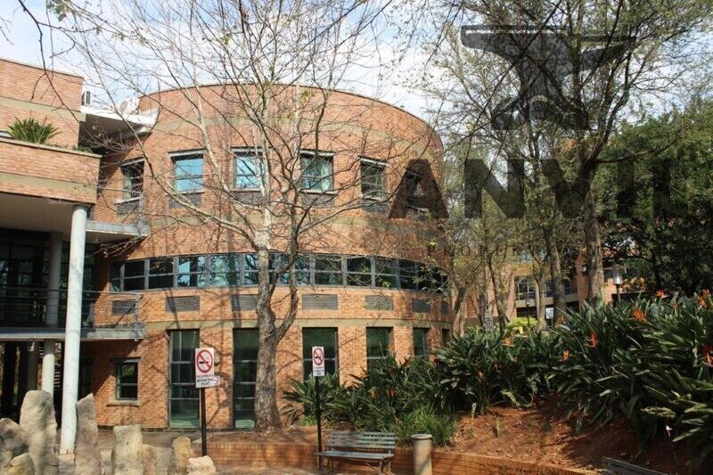 Sunnyside Office Park, Parktown - Sentinel House 4th floor property image 43