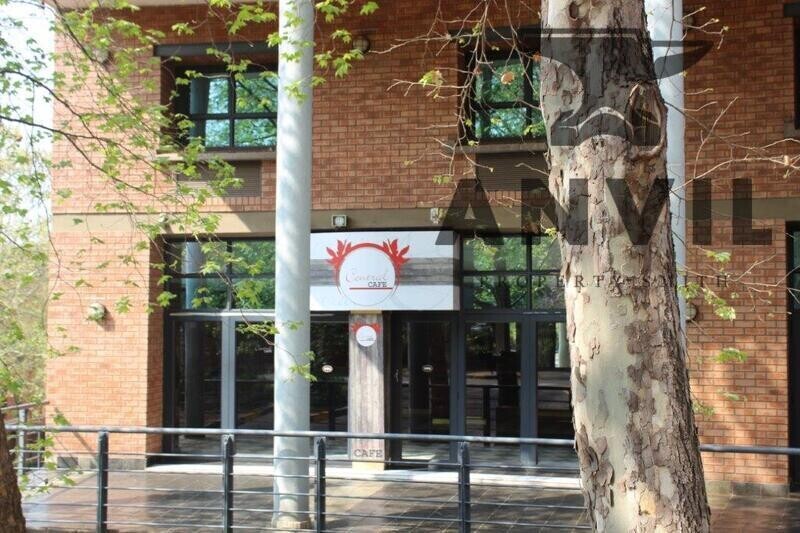 Sunnyside Office Park, Parktown - Sentinel House 4th floor property image 48