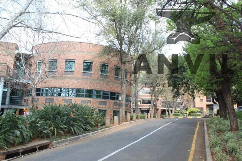 Sunnyside Office Park, Parktown - Sentinel House 4th floor property image 56