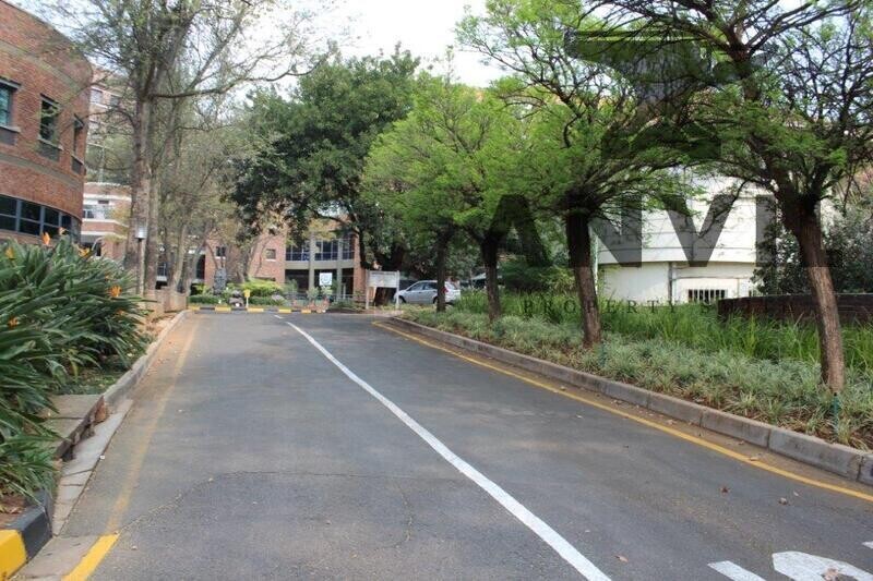 Sunnyside Office Park, Parktown - Sentinel House 4th floor property image 57