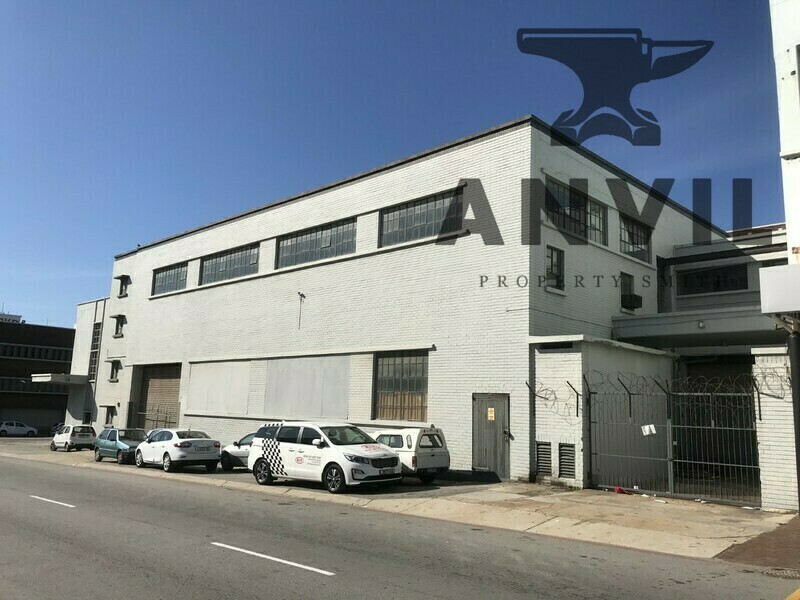 20 Grahamstown Rd - unit 1 property image 19