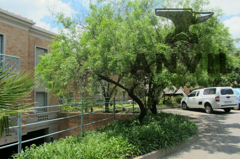 Birchwood Court, Midrand - Office 101 property image 28