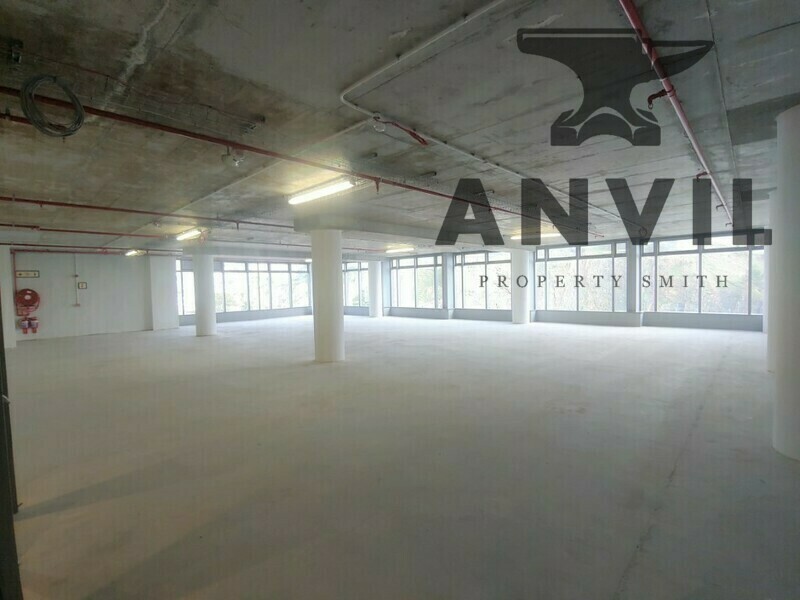 117 Strand Street - Office Storey 10.1 Main Building property image 3