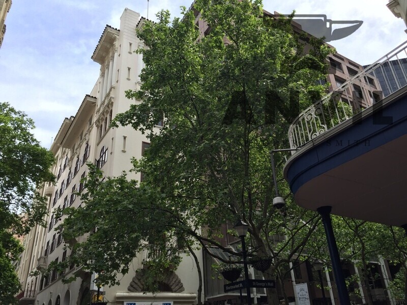 JDN House, Cape Town City Centre, Cape Town - 4th Floor Unit property image 26