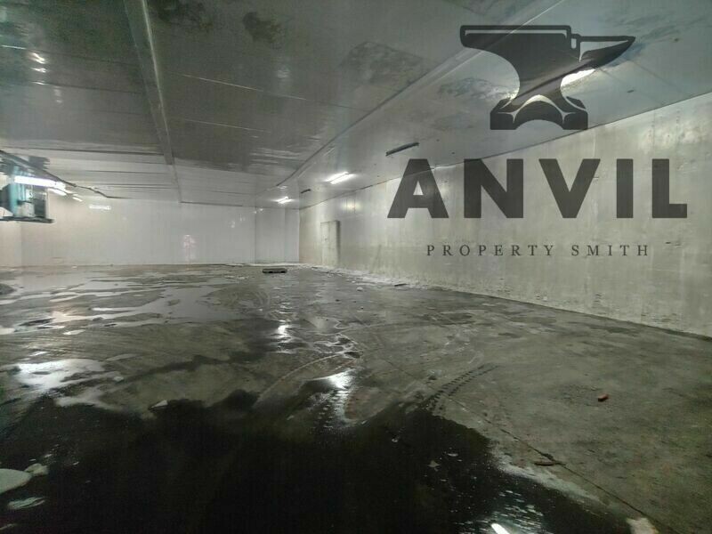 Clayville Cold Storage, Olifantsfontein - 900m2 Cold Storage  property image 9