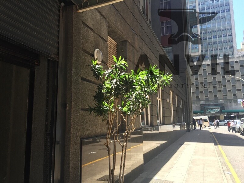 Perm Building, 343 Anton Lembede Street. - 10th  Floor - 10001 property image 1