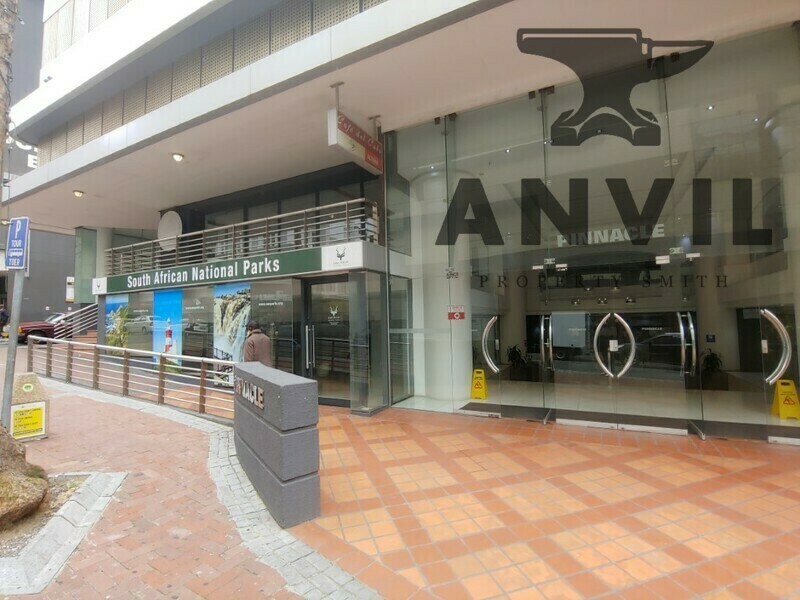 The Pinnacle, City Centre, Cape Town - Unit GRFL01 property image 3
