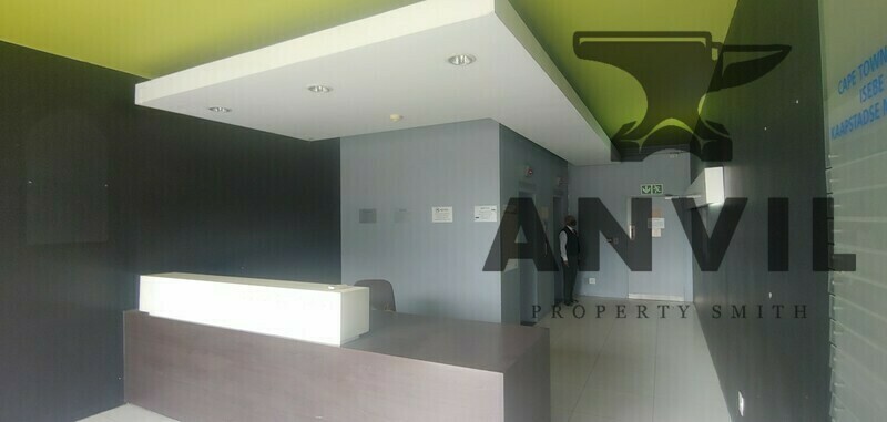 99-101 Hertzog Boulevard - Building property image 3