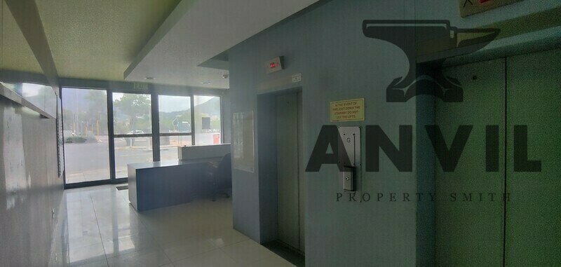 99-101 Hertzog Boulevard - Building property image 4