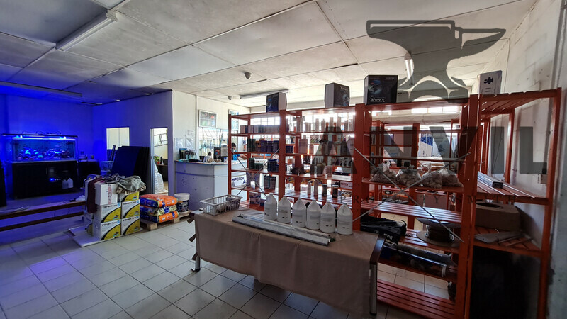 17 Montague Drive, Montague Gardens  - Unit E property image 10