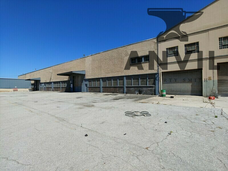 116 Burman Rd - Ground Unit 1 property image 27