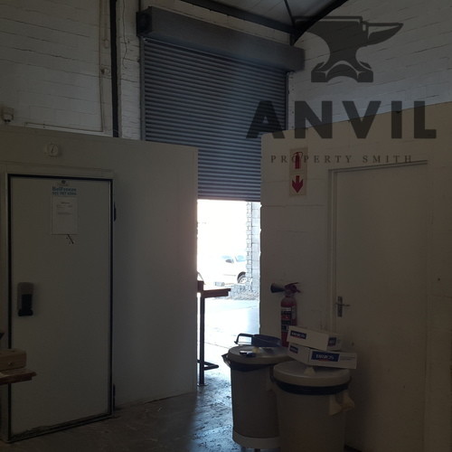 8 Cecil Morgan Street - Unit 1 property image 3