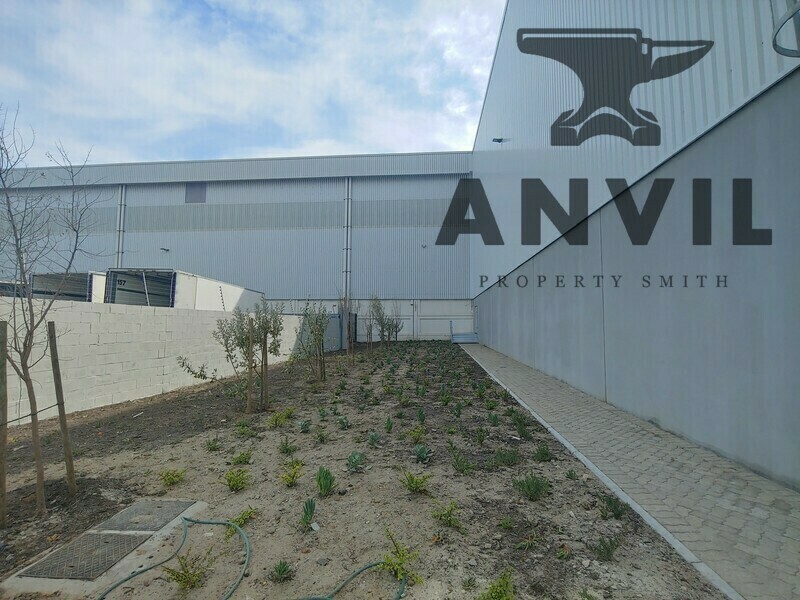 5 Old Lansdowne Road Warehouse - 5 Old Lansdowne Road Warehouse property image 20