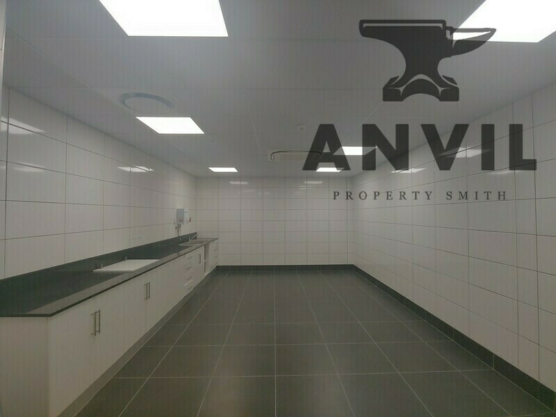 5 Old Lansdowne Road Warehouse - 5 Old Lansdowne Road Warehouse property image 12