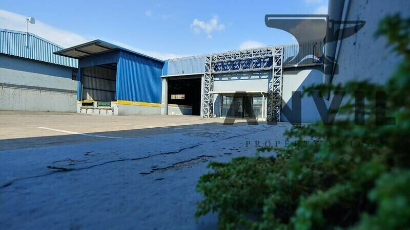 12 Hutchinson Street - Unit 2 property image 21