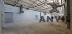 14 Hawkins Ave Epping - 550m2 property image 13