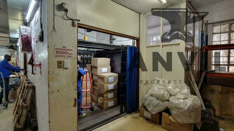 49 Bruning Place - Entire Building property image 12