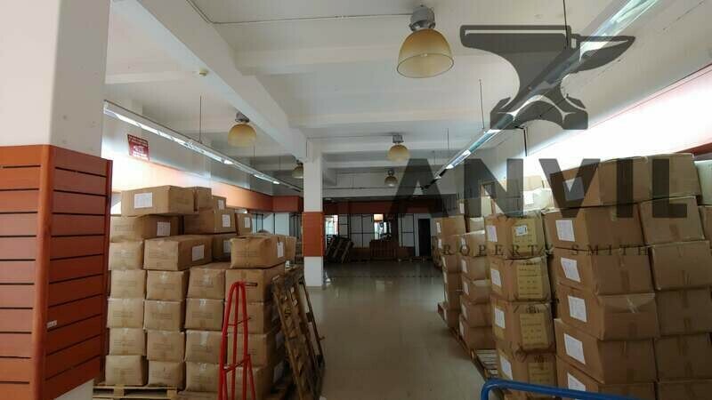 49 Bruning Place - Entire Building property image 5