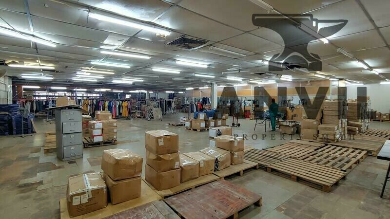 49 Bruning Place - Entire Building property image 6