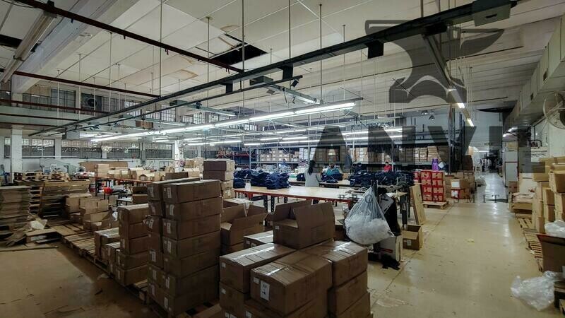 49 Bruning Place - Entire Building property image 8